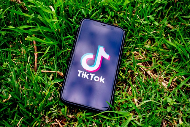 sledující TikTok